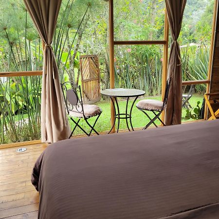 Exclusivo Cocora Con Jacuzzi Salento Quindio Villa ภายนอก รูปภาพ