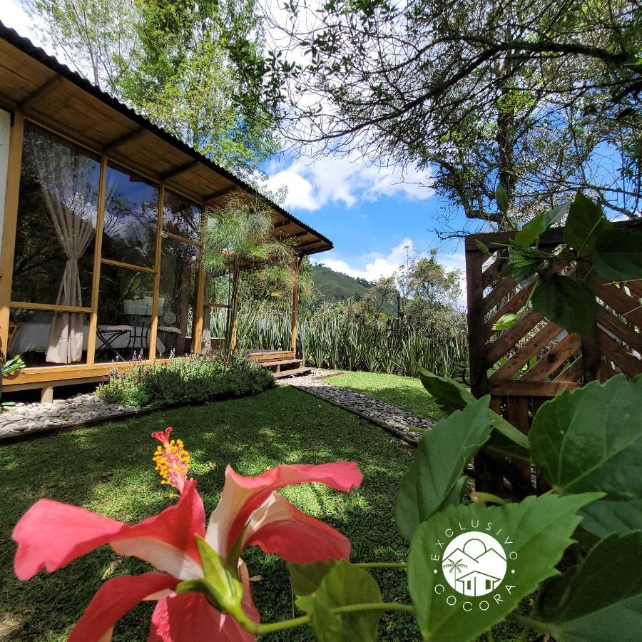 Exclusivo Cocora Con Jacuzzi Salento Quindio Villa ภายนอก รูปภาพ