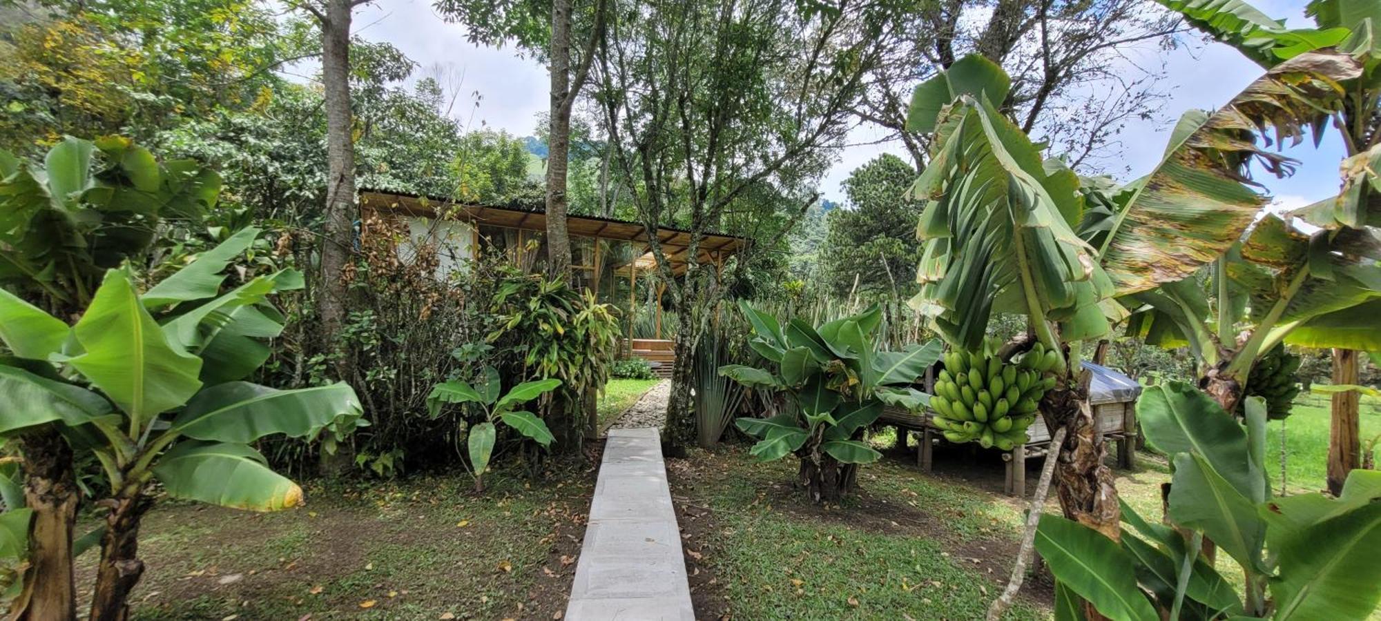 Exclusivo Cocora Con Jacuzzi Salento Quindio Villa ภายนอก รูปภาพ