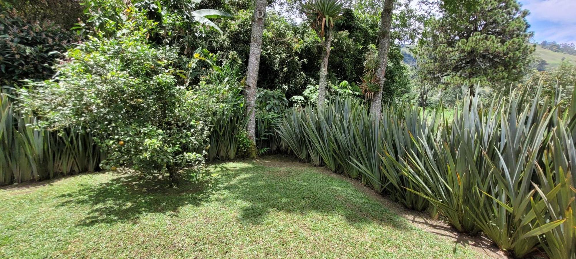 Exclusivo Cocora Con Jacuzzi Salento Quindio Villa ภายนอก รูปภาพ