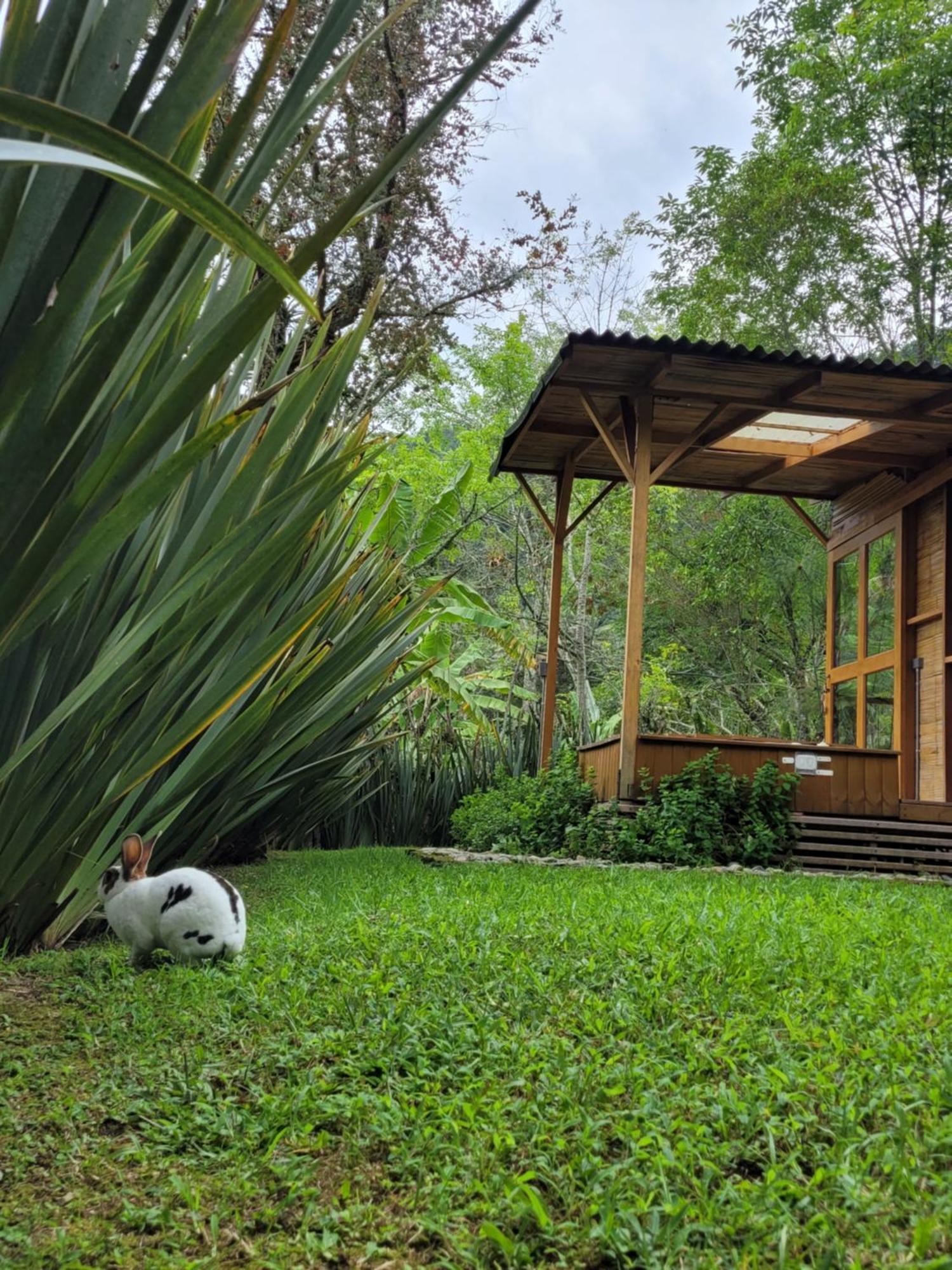 Exclusivo Cocora Con Jacuzzi Salento Quindio Villa ภายนอก รูปภาพ